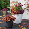 Image of Lechuza Classico Colour 35cm Self Watering Pot - 35cm