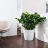 Image of Lechuza Classico Colour 35cm Self Watering Pot - 35cm