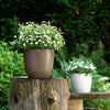 Image of Lechuza Classico Colour 35cm Self Watering Pot - 35cm