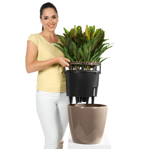 Lechuza Classico LS 21 Self Watering Pot - 21cm