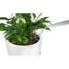 Image of Lechuza Classico LS 43 Self Watering Pot - 43cm