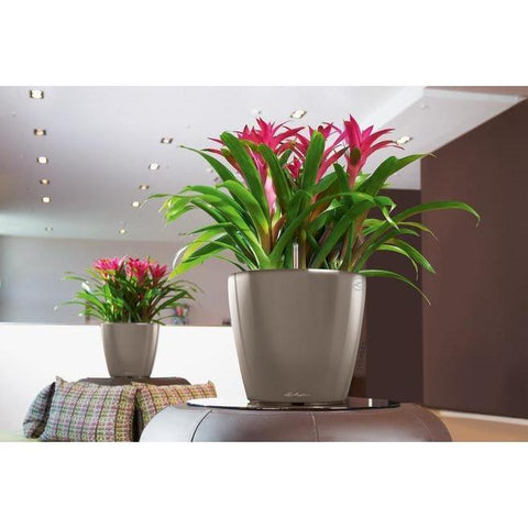 Lechuza Classico LS 43 Self Watering Pot - 43cm