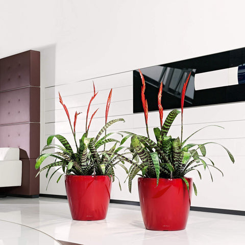 Lechuza Classico LS 43 Self Watering Pot - 43cm