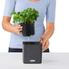 Image of Lechuza Cube 14 Self Watering Pot - 14cm