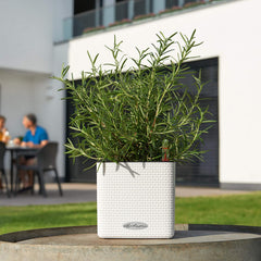 Lechuza Cube 14 Self Watering Pot - 14cm