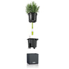 Image of Lechuza Cube 16 Self Watering Pot - 16cm