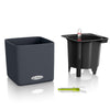 Image of Lechuza Cube 16 Self Watering Pot - 16cm