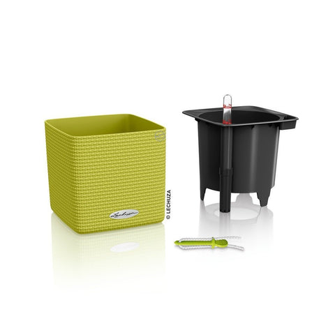 Lechuza Cube 16 Self Watering Pot - 16cm