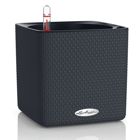 Lechuza Cube 16 Self Watering Pot - 16cm