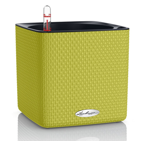 Lechuza Cube 16 Self Watering Pot - 16cm