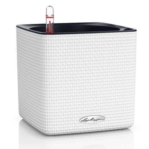 Lechuza Cube 16 Self Watering Pot - 16cm
