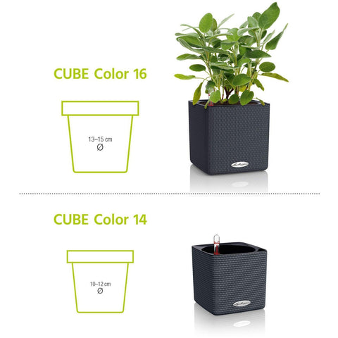 Lechuza Cube 16 Self Watering Pot - 16cm