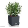 Image of Lechuza Cube 16 Self Watering Pot - 16cm