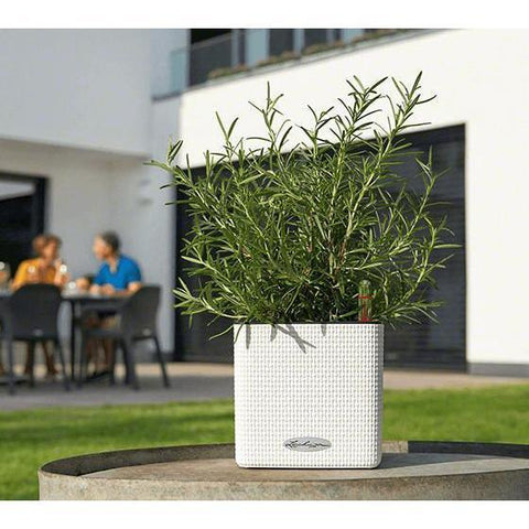 Lechuza Cube 16 Self Watering Pot - 16cm
