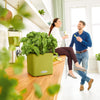 Image of Lechuza Cube 16 Self Watering Pot - 16cm