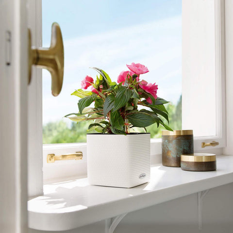 Lechuza Cube 16 Self Watering Pot - 16cm