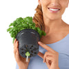 Image of Lechuza Cube 16 Self Watering Pot - 16cm