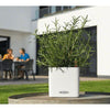 Image of Lechuza Cube LS 35 Self Watering Pot - 35cm