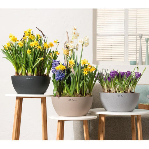 Lechuza Cubeto 30 Self Watering Pot - 30cm