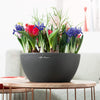 Image of Lechuza Cubeto 30 Self Watering Pot - 30cm