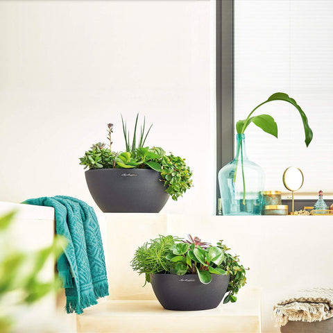Lechuza Cubeto 30 Self Watering Pot - 30cm