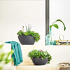 Image of Lechuza Cubeto 30 Self Watering Pot - 30cm