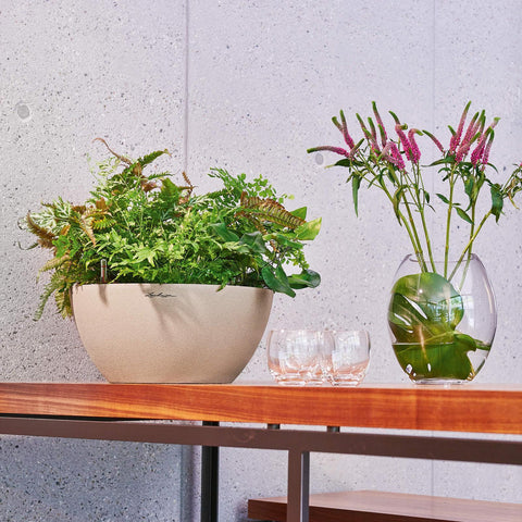 Lechuza Cubeto 30 Self Watering Pot - 30cm