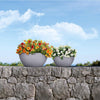 Image of Lechuza Cubeto 40 Self Watering Pot - 40cm