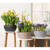 Image of Lechuza Cubeto 40 Self Watering Pot - 40cm