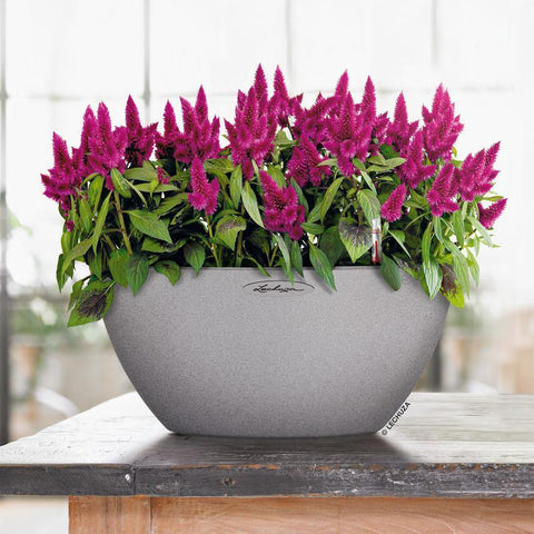 Lechuza Cubeto 40 Self Watering Pot - 40cm
