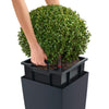 Image of Lechuza Cubico 22 Self Watering Pot - 22cm