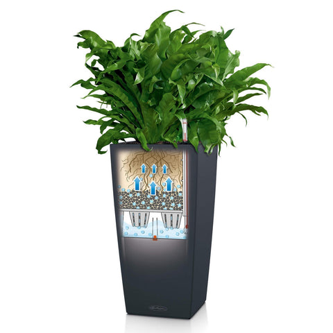 Lechuza Cubico 22 Self Watering Pot - 22cm
