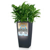 Image of Lechuza Cubico 22 Self Watering Pot - 22cm