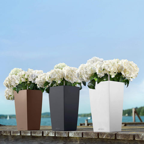 Lechuza Cubico 22 Self Watering Pot - 22cm