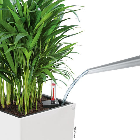 Lechuza Cubico 22 Self Watering Pot - 22cm