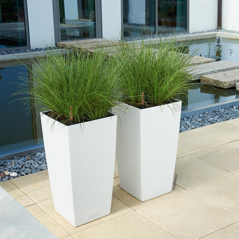 Lechuza Cubico 22 Self Watering Pot - 22cm