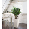 Image of Lechuza Cubico 22 Self Watering Pot - 22cm