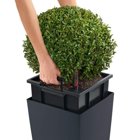 Lechuza Cubico 40 Self Watering Pot - 40cm