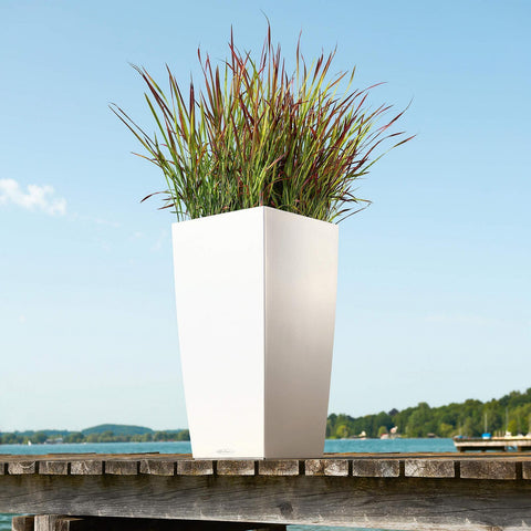 Lechuza Cubico 40 Self Watering Pot - 40cm