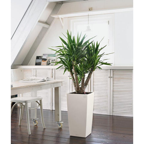 Lechuza Cubico 40 Self Watering Pot - 40cm