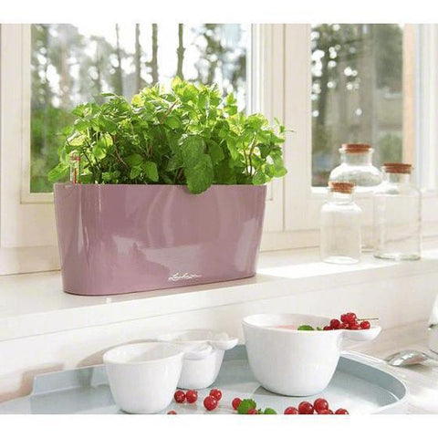 Lechuza Delta 20 Self Watering Table Planter