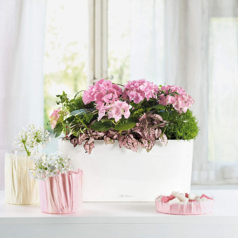 Lechuza Delta 20 Self Watering Table Planter
