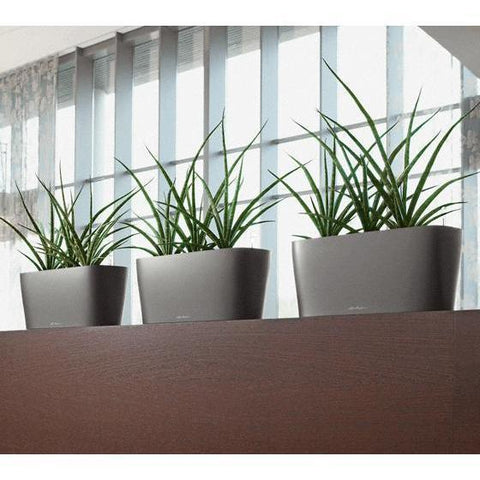 Lechuza Delta 20 Self Watering Table Planter