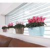 Image of Lechuza Delta 20 Self Watering Table Planter