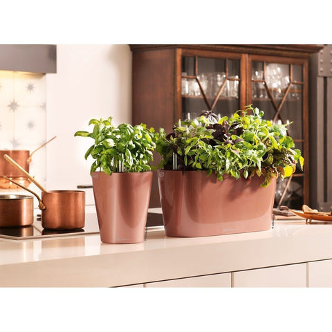 Lechuza Delta 20 Self Watering Table Planter