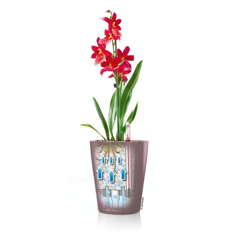 Lechuza Deltini Self Watering Pot