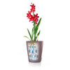 Image of Lechuza Deltini Self Watering Pot