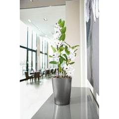 Lechuza Deltini Self Watering Pot