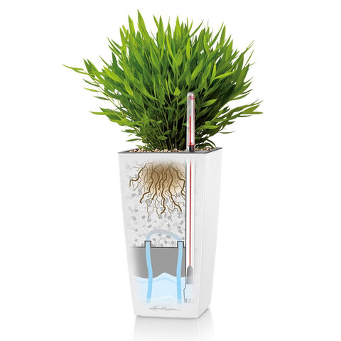Lechuza Maxi Cubi Self Watering Pot