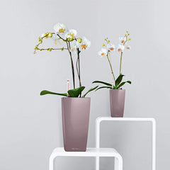 Lechuza Maxi Cubi Self Watering Pot